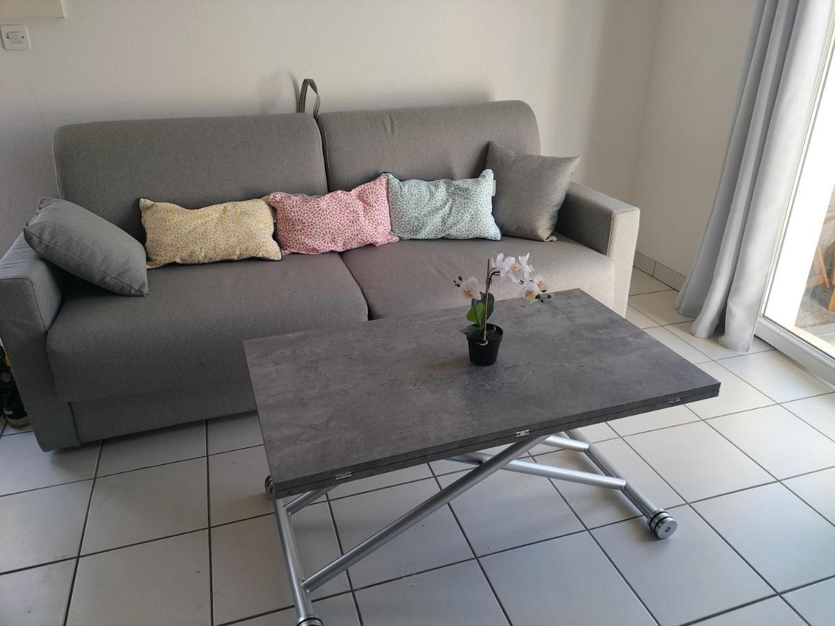 T2 Avec Piscine-Le Family 67 Daire Pierrefiche  Dış mekan fotoğraf