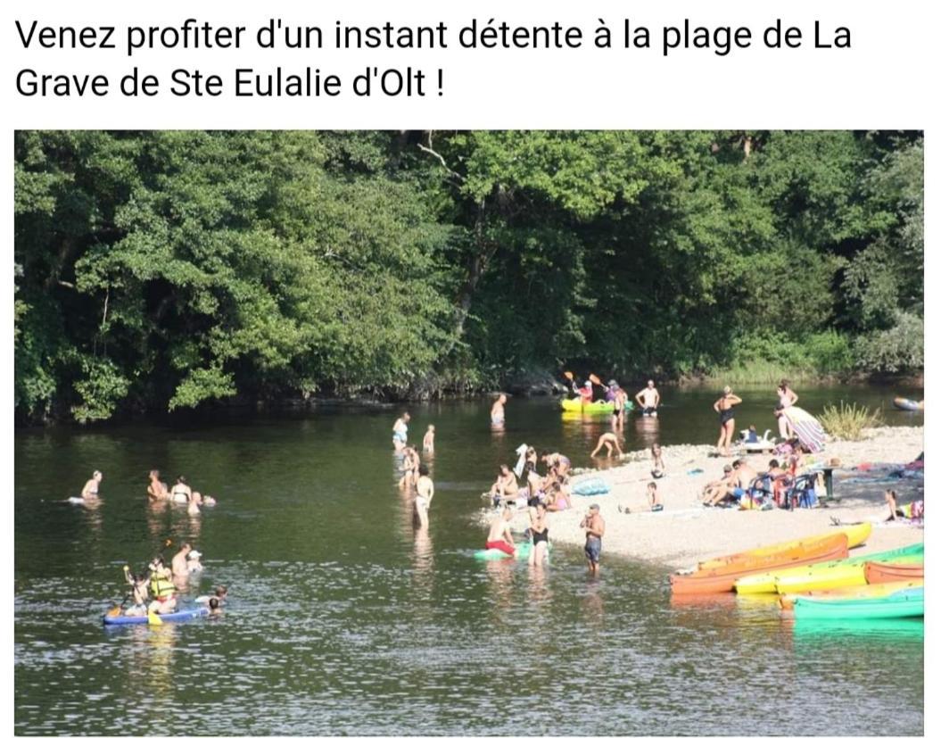 T2 Avec Piscine-Le Family 67 Daire Pierrefiche  Dış mekan fotoğraf